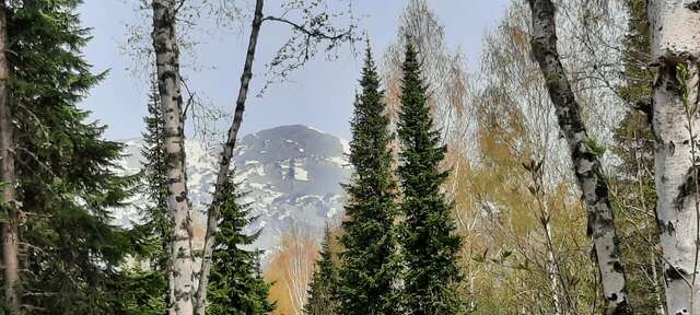 Гостиница Гринберг Шерегеш-208